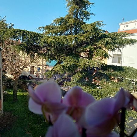 Apartment Luka Fažana Exterior foto